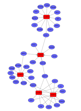 圖中顯示了 microRNA 與 mRNA 之間的關系