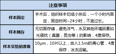 FFPE 樣本準(zhǔn)備、儲(chǔ)存及運(yùn)輸