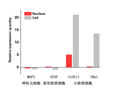 伯豪生物單細(xì)胞核轉(zhuǎn)錄組測序數(shù)據(jù)圖 5