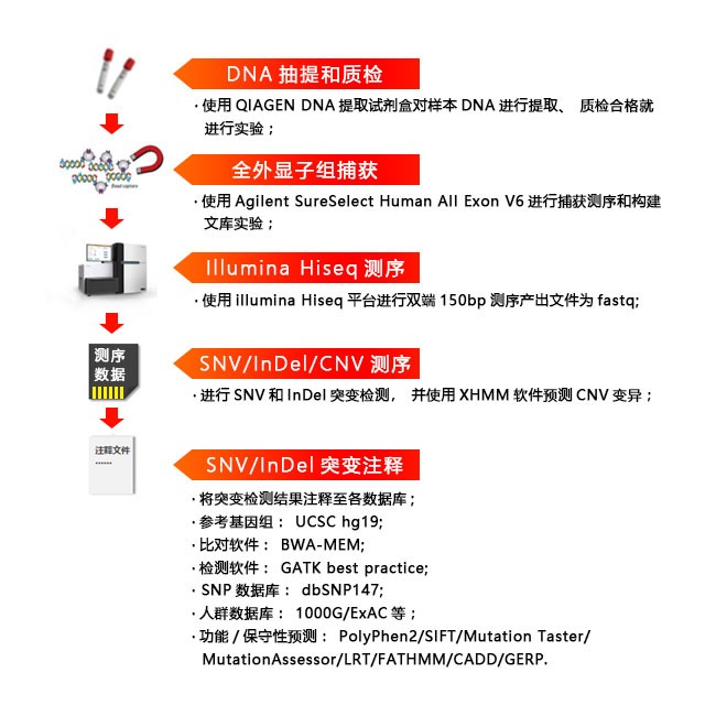 全外顯子組測序?qū)嶒?yàn)流程