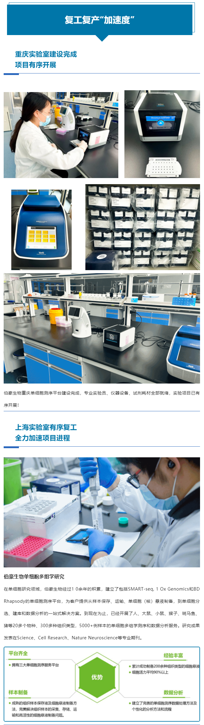 上海重慶齊頭并進，全力以“復(fù)”跑出復(fù)工復(fù)產(chǎn)“加速度”