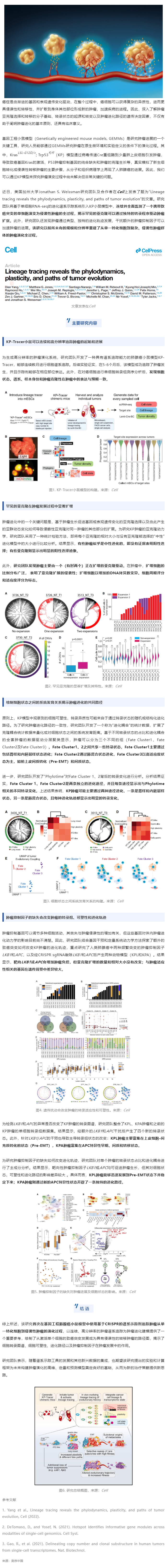 Cell| 首次大規(guī)模高分辨率揭示從一個攜帶致癌突變的單細(xì)胞演變?yōu)榍忠u性腫瘤的全過程