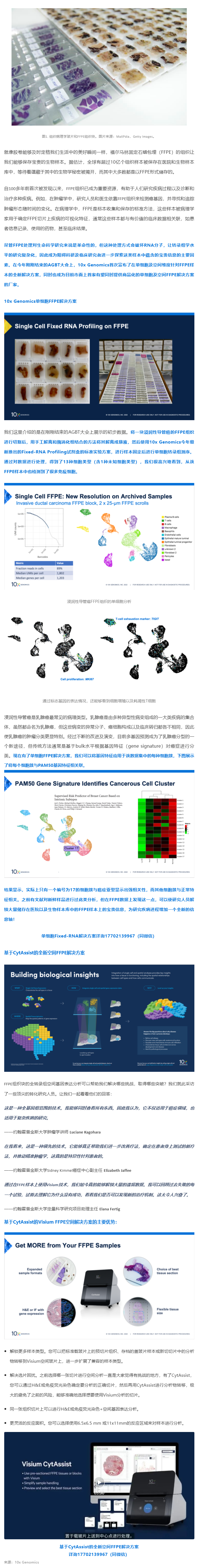 里程碑式的突破！10x Genomics 單細胞 + 空間解決方案 _ 全方位解鎖 FFPE 樣本中蘊含的寶貴