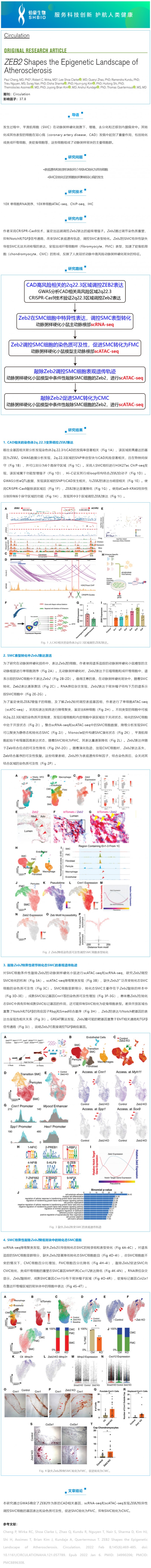 文獻(xiàn)解讀_scRNA-seq 聯(lián)合 scATAC-seq 解析 ZEB2 調(diào)控動(dòng)脈粥樣硬化表觀(guān)遺傳景觀(guān)
