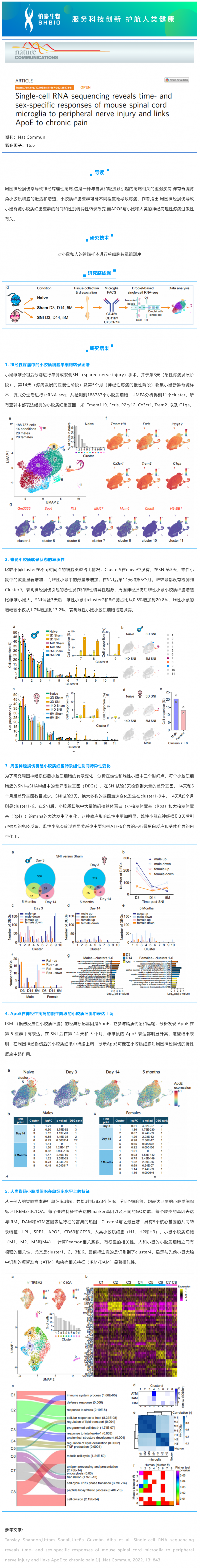 文獻(xiàn)解讀_單細(xì)胞 RNA 測序揭示了小鼠脊髓小膠質(zhì)細(xì)胞對周圍神經(jīng)損傷的時(shí)間和性別特異性反應(yīng)，并將 ApoE