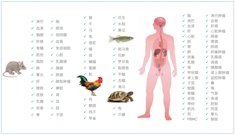  伯豪生物華大設(shè)備單細(xì)胞測(cè)序適用樣本類(lèi)型 
