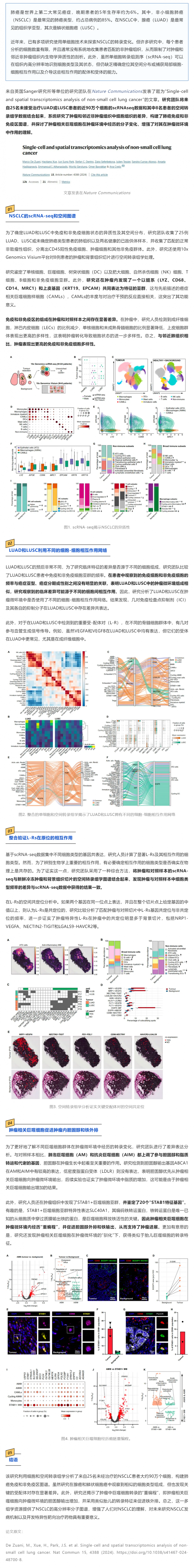 Nat Commun _ 基于單細(xì)胞和空間轉(zhuǎn)錄組學(xué)分析構(gòu)建 NSCLC 免疫和非免疫區(qū)圖譜
