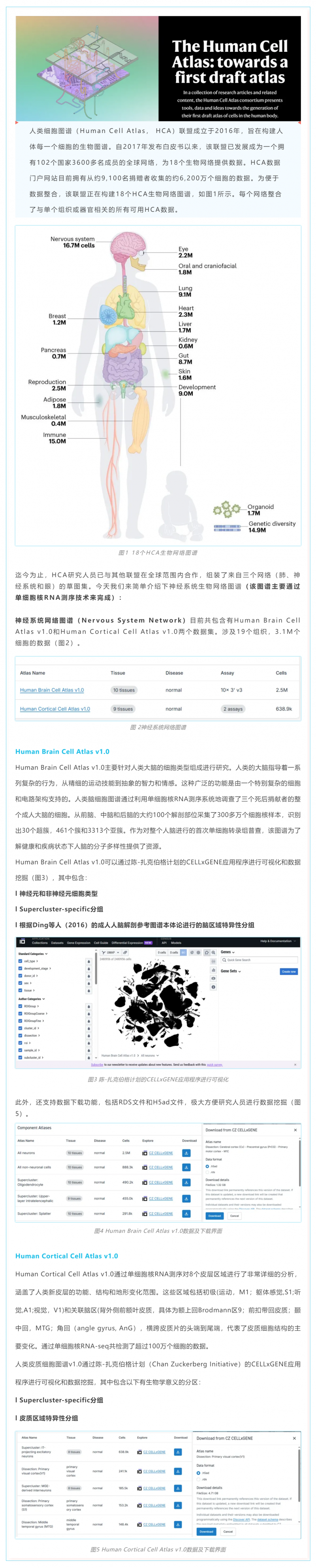 人類細(xì)胞圖譜計(jì)劃草圖第一版完成——神經(jīng)系統(tǒng)細(xì)胞圖譜