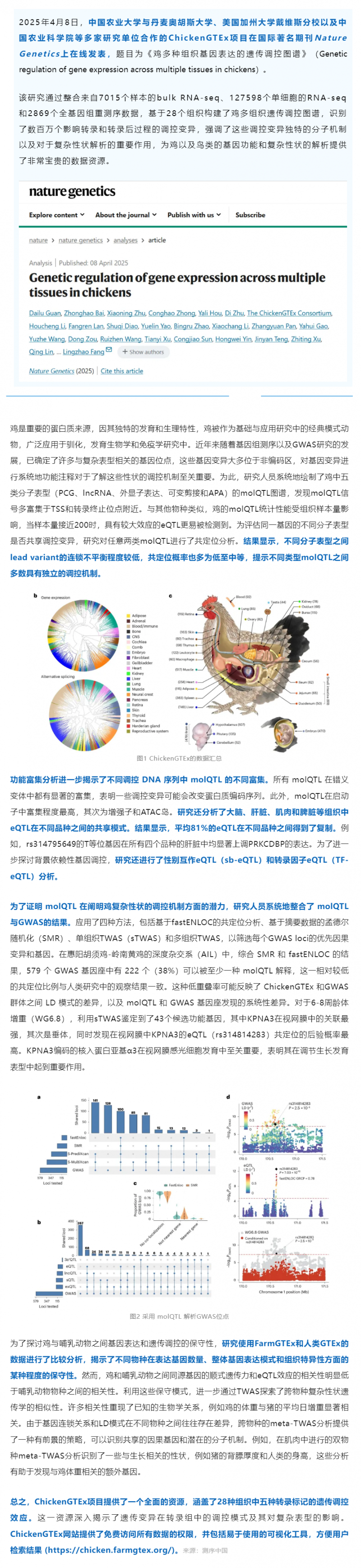 Nat Genet 丨中國(guó)農(nóng)業(yè)大學(xué)等多國(guó)團(tuán)隊(duì)繪制雞多組織遺傳調(diào)控圖譜