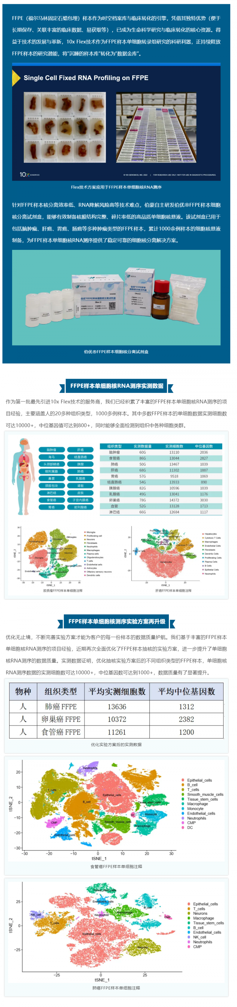 技術突破 _ FFPE 樣本產(chǎn)出高質量單細胞數(shù)據(jù)的秘籍